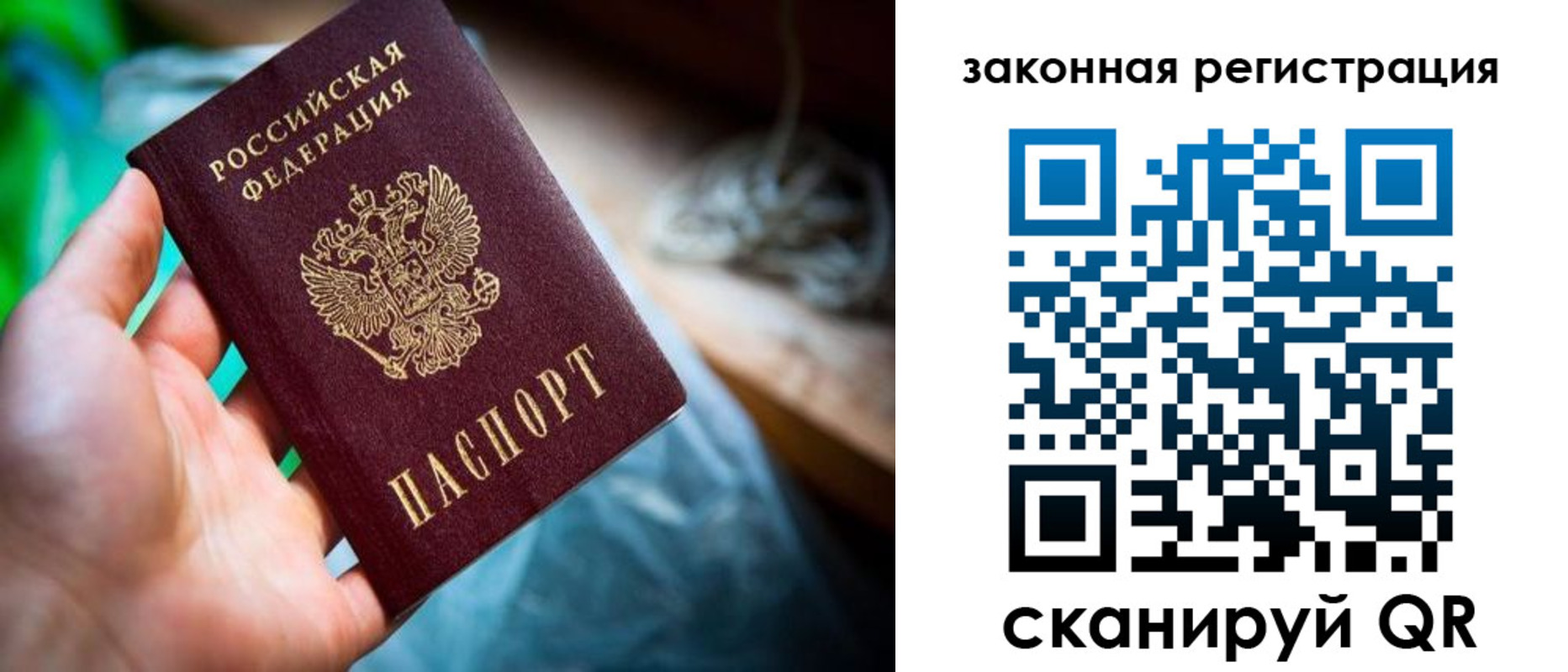 прописка в Тынде